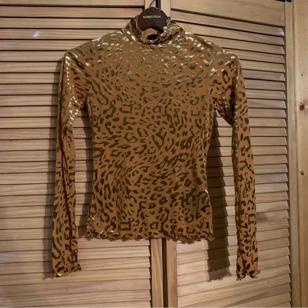 Urban outfitters Cheetah Sheer Long Sleeve layering top XS
